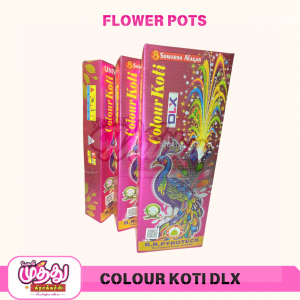 Colour Koti Deluxe (5 Pcs)
