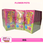 Flower Pots Big (10 Pcs)