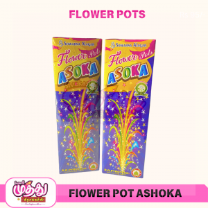 Flower Pots Ashoka (10 Pcs)