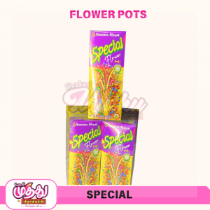 Flower Pots Special (10 Pcs)