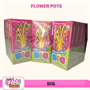 Flower Pots Big (10 Pcs)